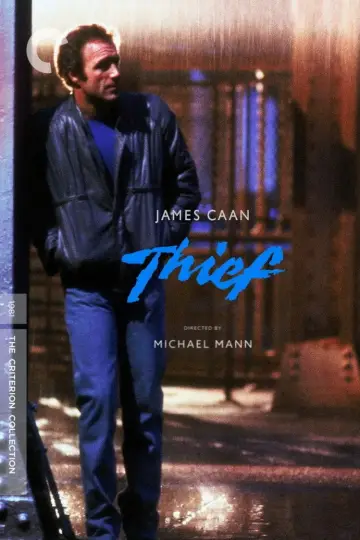 Poster to the movie "Thief" #863717