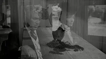Backdrop to the movie "The Man Who Shot Liberty Valance" #754013