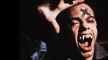 Backdrop to the movie "Fright Night" #244737