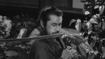 Backdrop to the movie "Sanjuro" #1647422