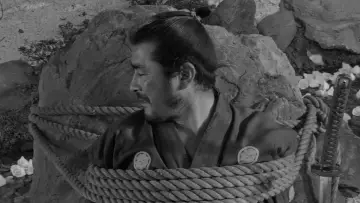 Backdrop to the movie "Sanjuro" #752012