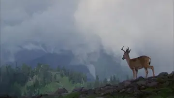Backdrop to the movie "The Deer Hunter" #649436