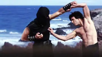 Backdrop to the movie "Kung Pow: Enter the Fist" #873977