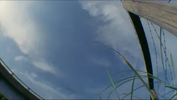 Backdrop to the movie "Tampopo" #731106