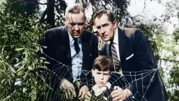 Backdrop to the movie "The Fly" #885707
