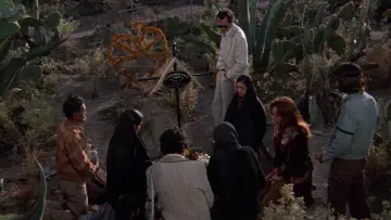 Backdrop to the movie "Bring Me the Head of Alfredo Garcia" #991761