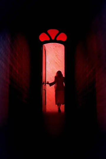 Poster to the movie "Suspiria" #210402