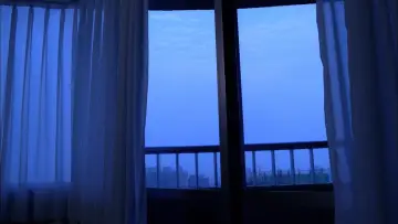 Backdrop to the movie "Vive L