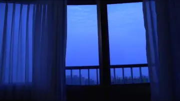 Backdrop to the movie "Vive L
