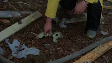 Backdrop to the movie "Friday the 13th Part VII - The New Blood" #893321