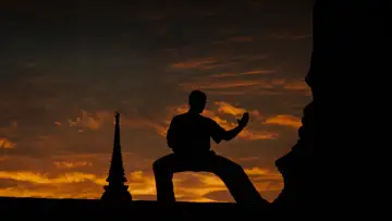 Backdrop to the movie "Kickboxer" #808308