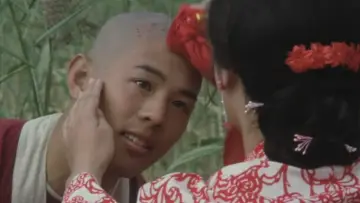 Backdrop to the movie "Shaolin Temple" #387372
