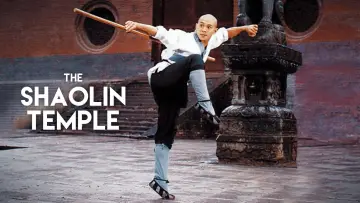 Backdrop to the movie "Shaolin Temple" #869140