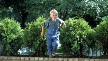 Backdrop to the movie "Dennis the Menace" #805076