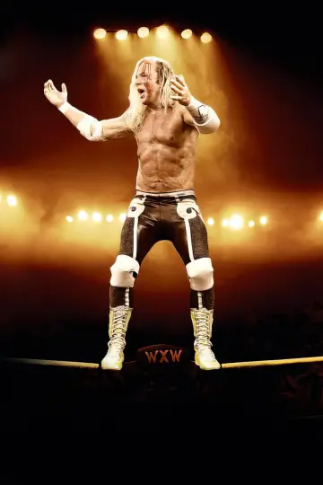 Poster to the movie "The Wrestler" #808504