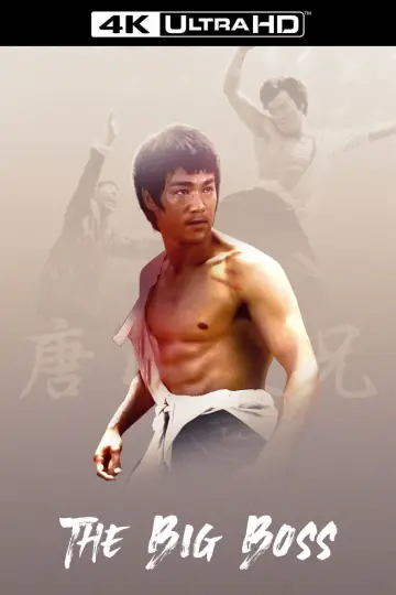 Poster to the movie "The Big Boss" #726743