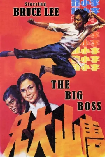 Poster to the movie "The Big Boss" #808704