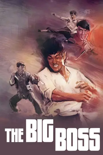 Poster to the movie "The Big Boss" #931085