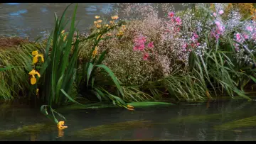 Backdrop to the movie "Dreams" #1631590