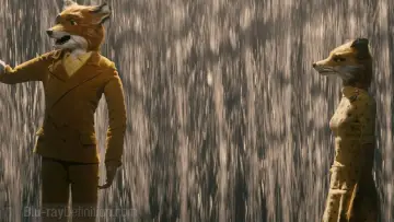 Backdrop to the movie "Fantastic Mr. Fox" #639916