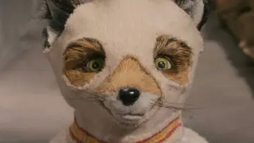 Backdrop to the movie "Fantastic Mr. Fox" #639923