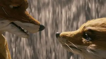 Backdrop to the movie "Fantastic Mr. Fox" #639930