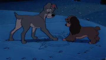 Backdrop to the movie "Lady and the Tramp" #629705