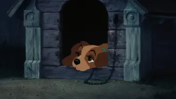 Backdrop to the movie "Lady and the Tramp" #629716