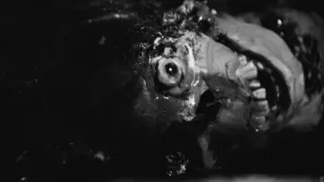 Backdrop to the movie "Night of the Living Dead" #1578540