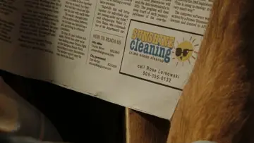 Backdrop to the movie "Sunshine Cleaning" #610158