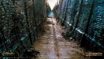 Backdrop to the movie "Labyrinth" #121786