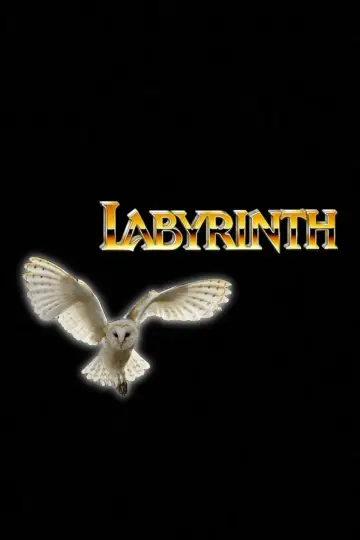 Poster to the movie "Labyrinth" #659172
