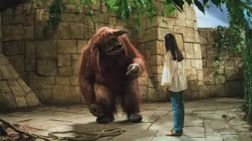 Backdrop to the movie "Labyrinth" #837569