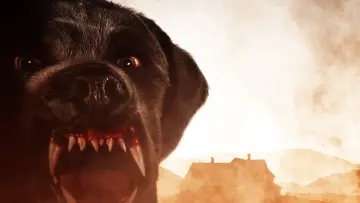 Backdrop to the movie "Cujo" #302936