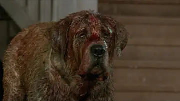 Backdrop to the movie "Cujo" #853736