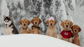 Backdrop to the movie "Snow Buddies" #426618
