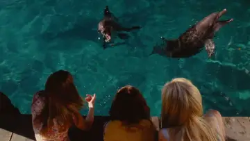 Backdrop to the movie "Aquamarine" #869238