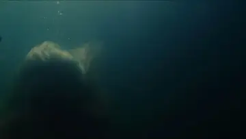Backdrop to the movie "Aquamarine" #869291