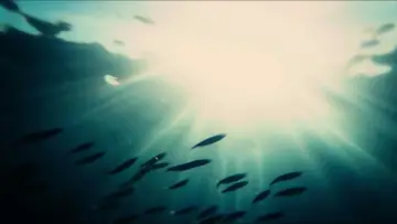 Backdrop to the movie "Aquamarine" #869308