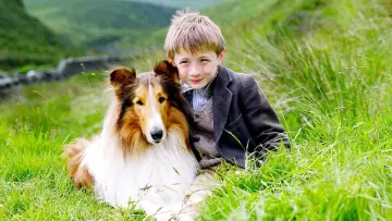 Backdrop to the movie "Lassie" #461121