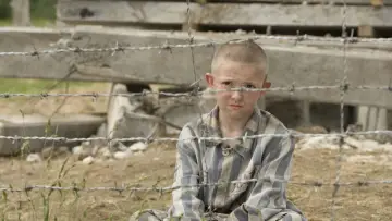 Backdrop to the movie "The Boy in the Striped Pyjamas" #1796987