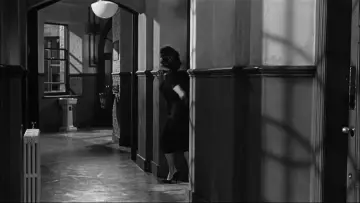 Backdrop to the movie "Suddenly, Last Summer" #1045867