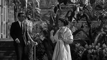 Backdrop to the movie "Suddenly, Last Summer" #1045875