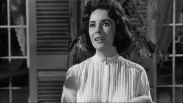 Backdrop to the movie "Suddenly, Last Summer" #1045878