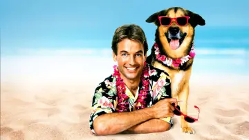 Backdrop to the movie "Summer School" #337489