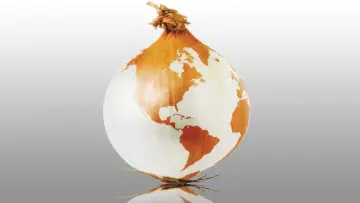 Backdrop to the movie "The Onion Movie" #426166