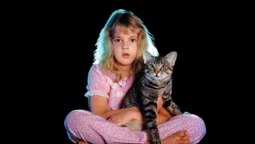 Backdrop to the movie "Cat