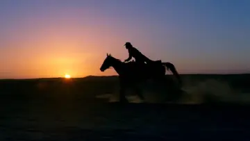 Backdrop to the movie "The Good, the Bad, the Weird" #881783