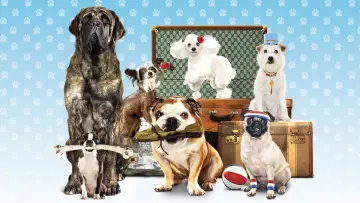 Backdrop to the movie "Hotel for Dogs" #904795