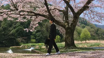 Backdrop to the movie "The Taste of Tea" #1649847